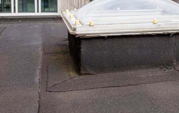 disadvantages of Holmley Common flat roofs