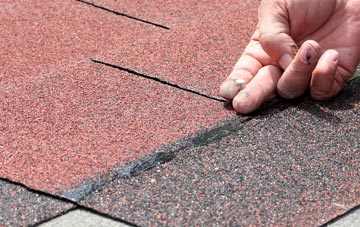 Holmley Common asphalt roof repairs